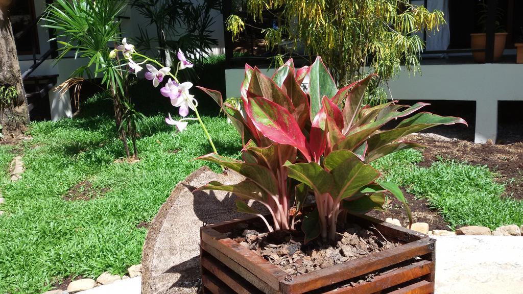 Hotel Lucky Gecko Garden Koh Chang Esterno foto